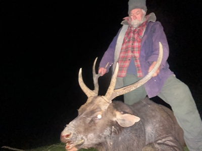 Ian Greenwood - Sambar Deer Success Story